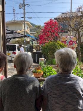 季節の花が咲く、ほっこりとした民家です。