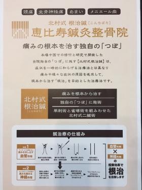 当院独自の鍼治療「根治鍼」案内