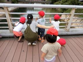 どろんこ保育園 お散歩