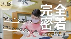 私たちと一緒に働きませんか？