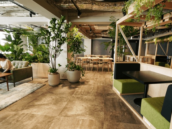 エントランスの雰囲気です