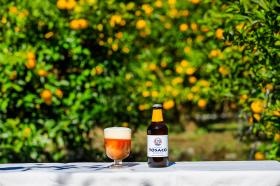 高知の素材にこだわった、高知のクラフトビールＴＯＳＡＣＯ。