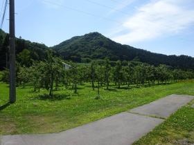 事業所の情報＿００７