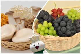 「農業を守る・くらしを守る」理念で共に働く仲間を募集します。