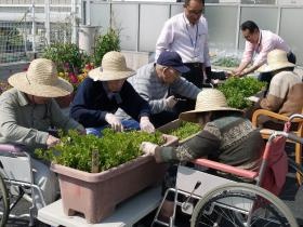 ご利用者の方と種をまき、育て、収穫します