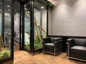 蒲田ステーション歯科