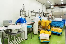 清潔な環境で作業をしています