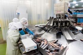 慣れるまでは先輩社員が丁寧に教えます