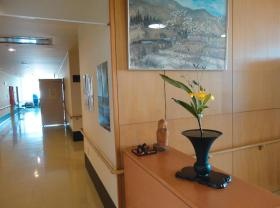 事業所の情報＿００７ お花