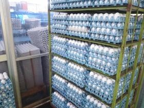 事業所の情報＿００７