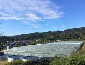 北茨城ファーム全景