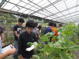 産地への見学も行っています