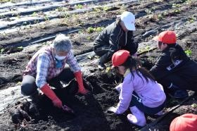 小学生農業体験