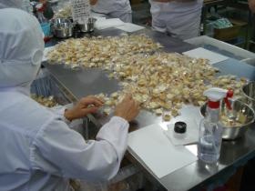 個包装された製品を検品・選別します