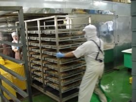 乾燥機に台車を並べる作業です