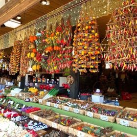 事業所の外観＿１