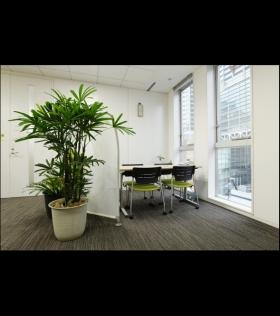 オープン会議室（明るくて解放感があります）