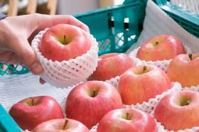 パッケージ業務