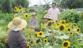 相陽台ファーム