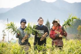 一緒に働きませんか？