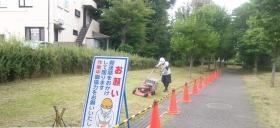 公園の芝刈