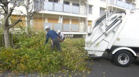 切った枝の片付け。塵芥車に積込ので簡単です。