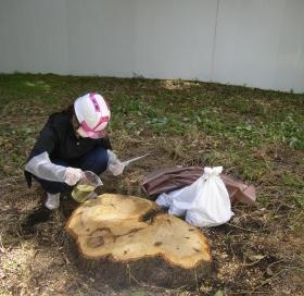 薬剤で殺菌中。女性でもできる簡単んさ作業です。