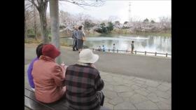 お天気の良い日にはお散歩もします♪