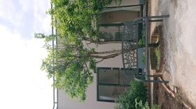 『善福寺愛の園』はグループホームとデイ、広い中庭があります