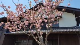 ショールーム１