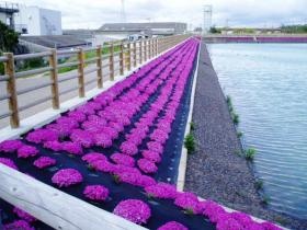 簡易緑化工法で地域の景観向上に貢献します