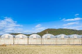 ビニールハウスの建設や修繕も自らの手で行います。