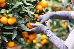 季節で仕事が変わり、飽きずに色々なことに挑戦できます。