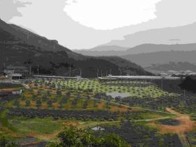 事業所の情報＿００７