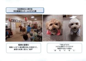 かざはな園のアイドル犬、はなとふう