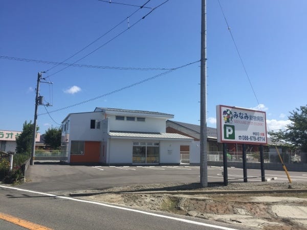 動物看護業務・動物病院の診療補助