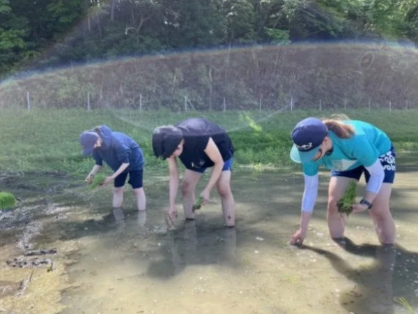 どんなふうにお米が育つのか？も、疲れにくいクワの使い方も、タケノコの見つけ方も、先輩スタッフがマンツーマンで丁寧に教えてきます！