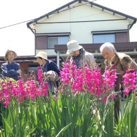 デイサービスセンターきらり