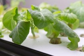 事業所の情報＿００４