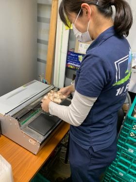 収穫したしいたけのパック詰め作業