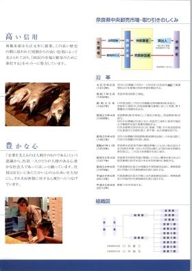 パンフ（沿革・組織図）