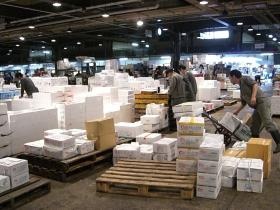 売場（冷凍魚等）