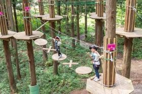 夏のアクティビティ「フォレストアドベンチャー」