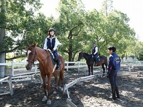 入社後は、どの職種でも、乗馬技術を身につけていただきます。乗れるようになると、どんどん仕事が楽しくなりますよ。