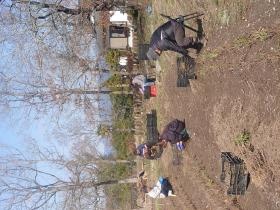 自社畑・薬草収穫作業風景