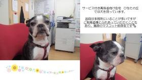 マスコットキャラクターです◎