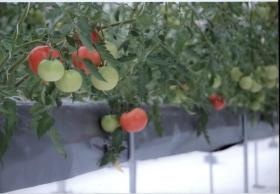 事業所の情報＿００５