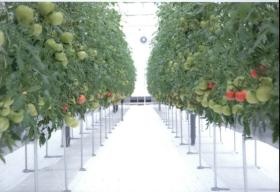 事業所の情報＿００６