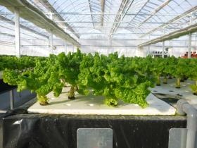 事業所の情報＿００１