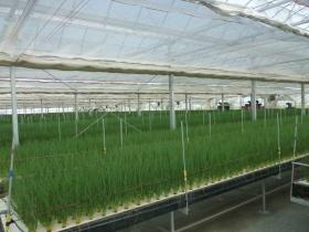 事業所の情報＿００４